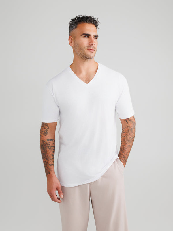 Basis V-neck 3-pack