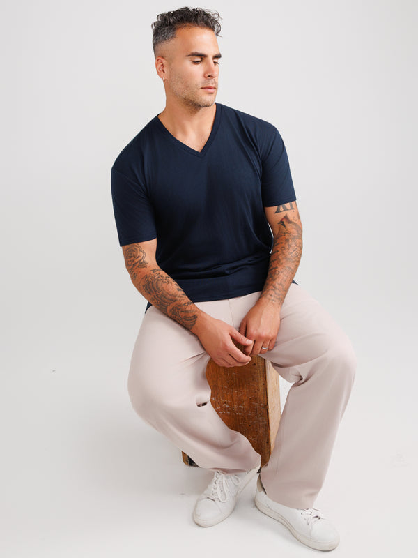 Basis V-neck 3-pack