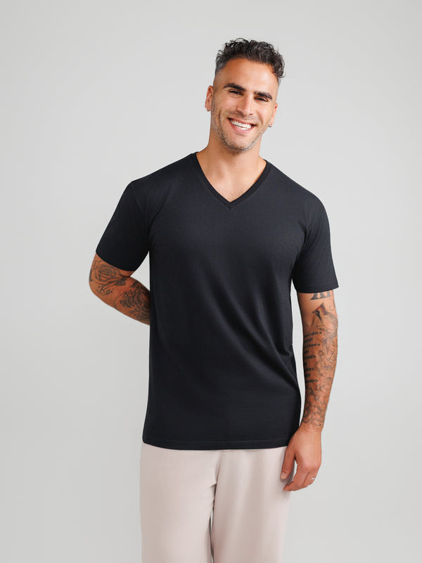 Basis V-neck 3-pack